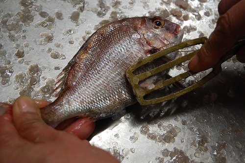雑魚のスープ_c0124100_22574548.jpg