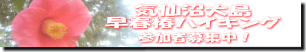 c0048701_1141482.gif