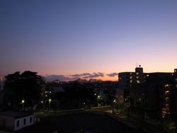 d0023704_23532461.jpg