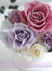 b0111306_00913.gif