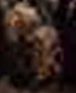 e0103408_17465363.jpg