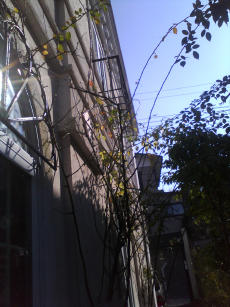 a0109615_22284294.jpg