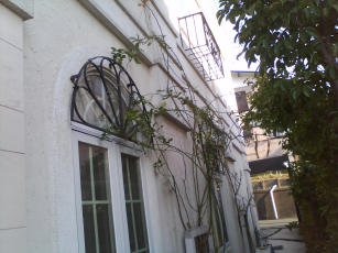 a0109615_22292277.jpg