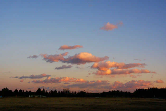 夕焼けの欠片_e0077521_20571710.jpg