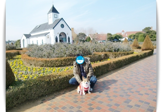 アリスとの16回目の旅行　その3.　－ローズマリー公園へー_f0182121_11433293.jpg