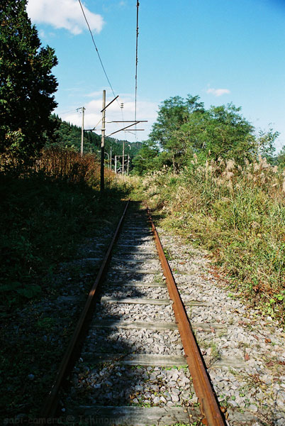 f0164826_196621.jpg