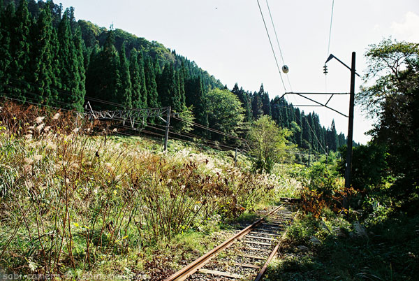 f0164826_1972210.jpg