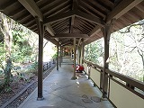 d0086228_20141423.jpg