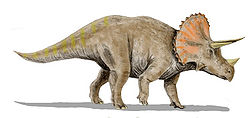 トリケラトプスのモチーフ（編み図付き、恐竜、男の子）_a0162133_1275130.jpg