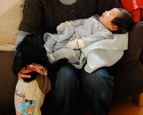 ハーフ兄妹さん宅の新しい家族_c0099133_4192613.jpg