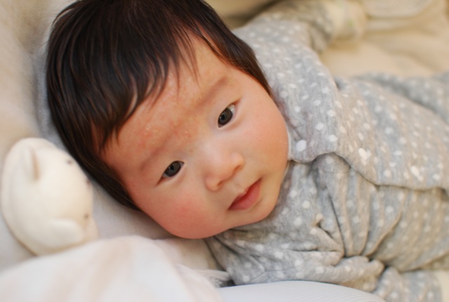 ハーフ兄妹さん宅の新しい家族_c0099133_430477.jpg