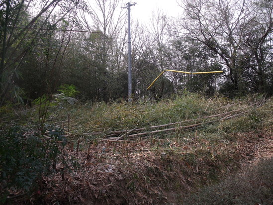 d0175139_1621172.jpg