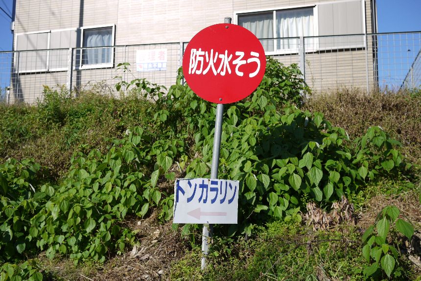 謎のトンカラリン ぴーなっつふぁくとりー 謎のトンカラリン ぴーなっつふぁくとりー