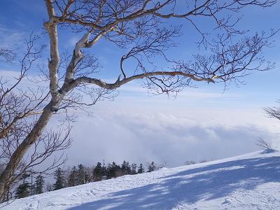 a0150951_219347.jpg