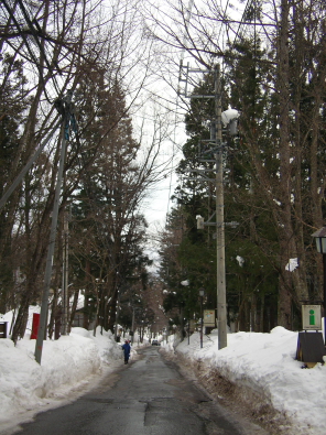 お久しぶりでーす_b0147051_15523872.jpg