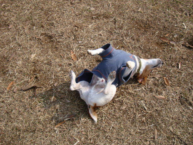 d0143957_19585138.jpg