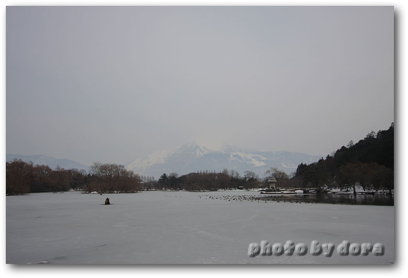 三島池_d0187357_957092.jpg