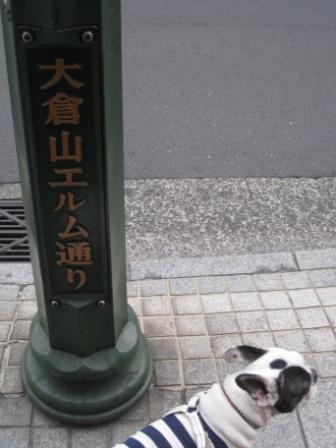 d0117559_0335521.jpg