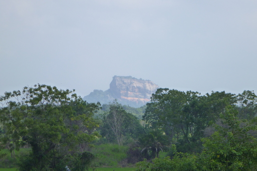 a0053063_19203054.jpg