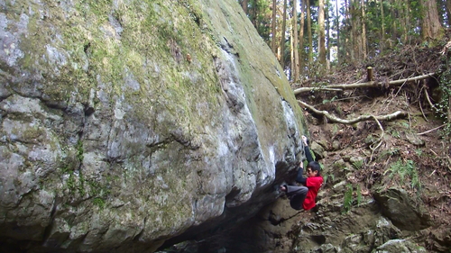 e0167264_2244976.jpg