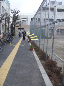 f0238772_1129216.jpg