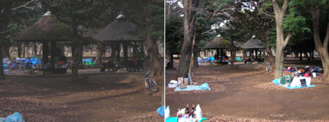 三本きのこの休憩舎の利用法・代々木公園散策その１１_d0183174_849851.jpg