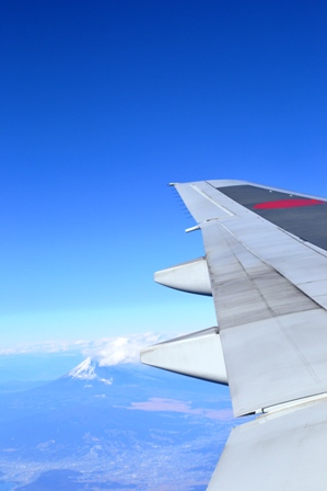 e0203878_16388.jpg
