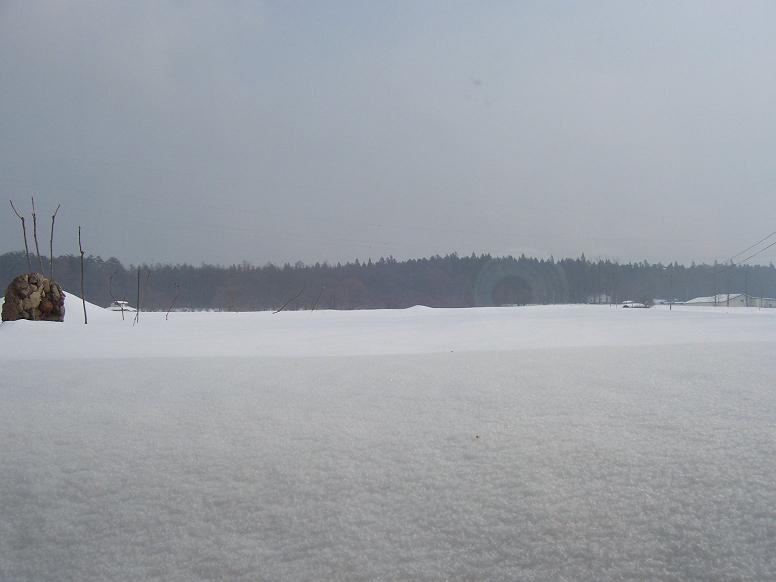 c0198781_1091478.jpg