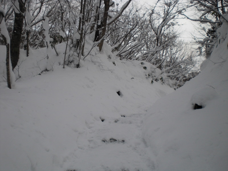 c0013687_18155777.jpg