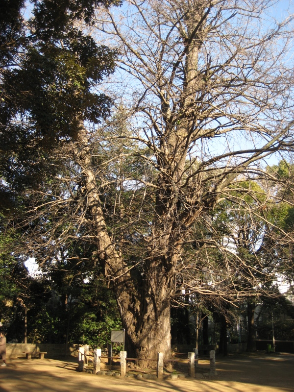 c0013687_231946.jpg