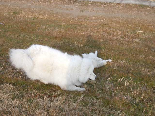 b0120492_22442.jpg