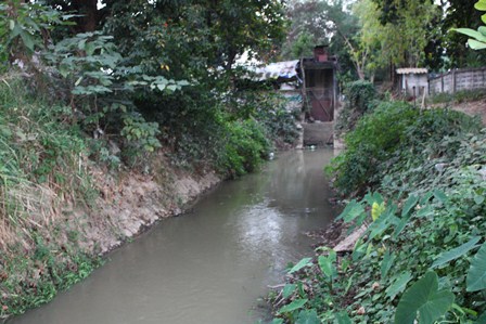 b0125397_18223.jpg