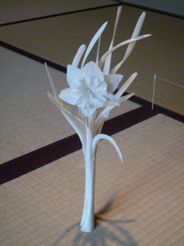 f0191500_63967.jpg