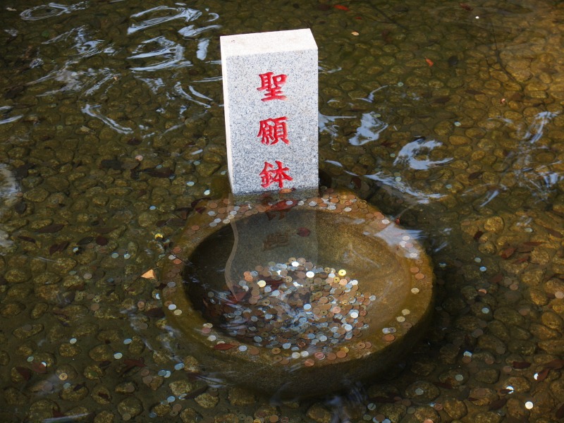 f0224100_85560.jpg