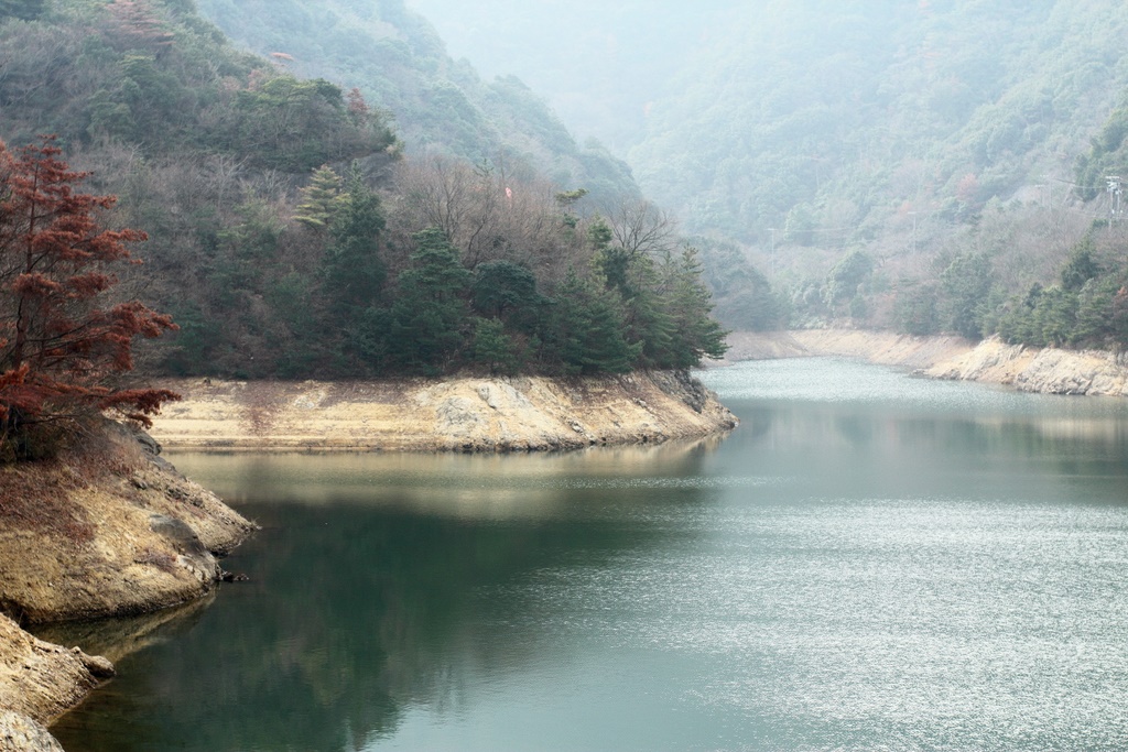 b0138101_19553618.jpg
