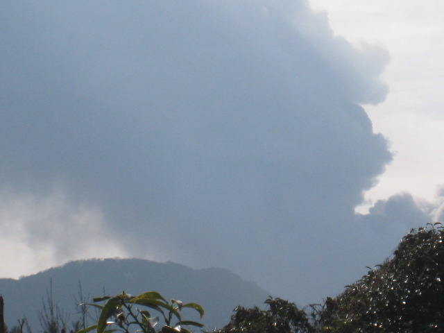 b0172502_181051.jpg
