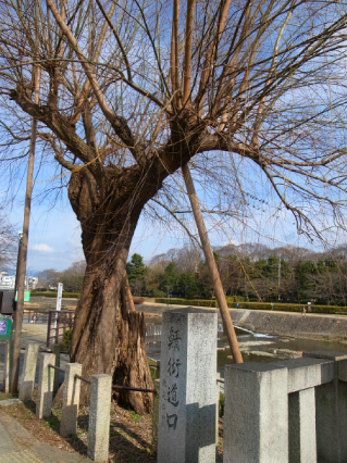 c0069903_18522050.jpg