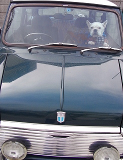 ぶーちゃんの愛車_c0201910_19372995.jpg