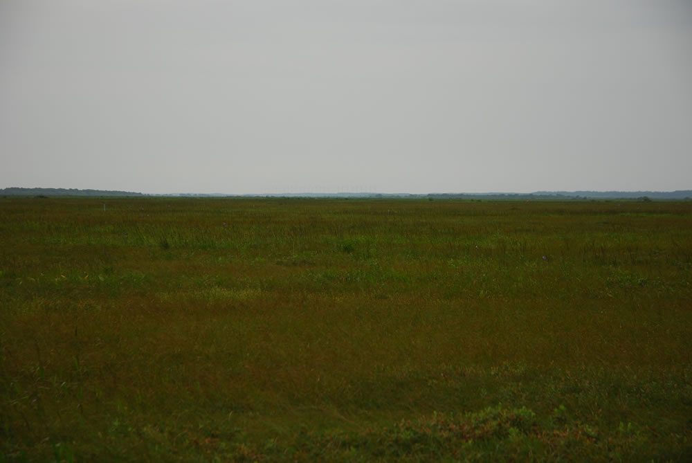 b0021211_134317.jpg