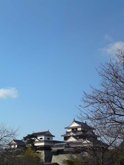 春の気配…?_b0131012_9415511.jpg