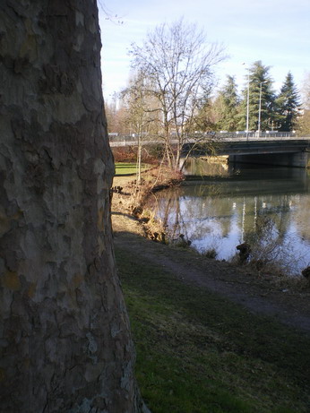 c0124619_7444420.jpg