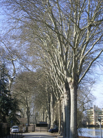 c0124619_747195.jpg