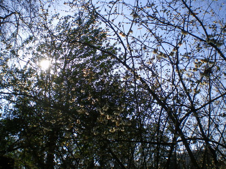 c0124619_7485593.jpg