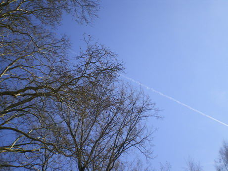 c0124619_7495644.jpg