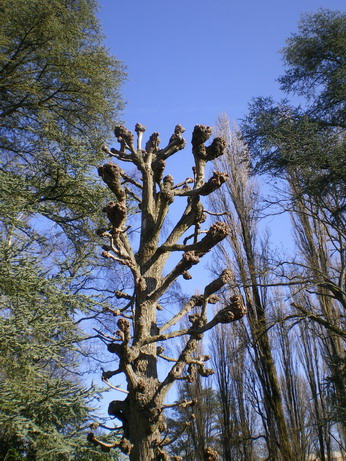 c0124619_7521733.jpg