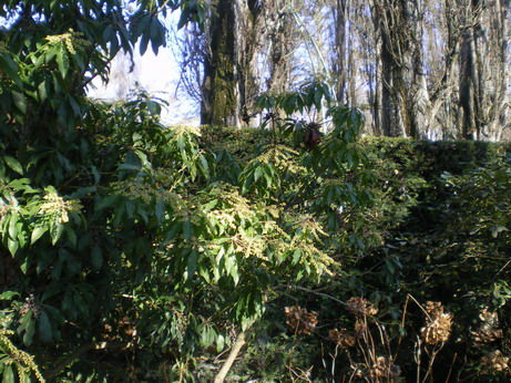 c0124619_7525487.jpg
