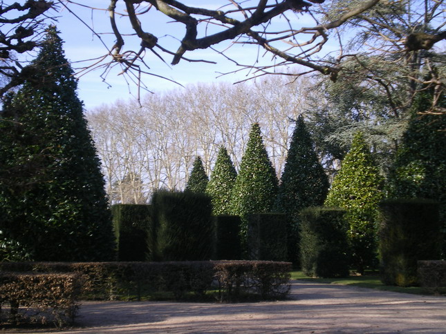 c0124619_756832.jpg