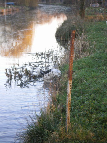 c0124619_814294.jpg