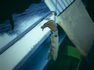 f0163928_20231566.jpg