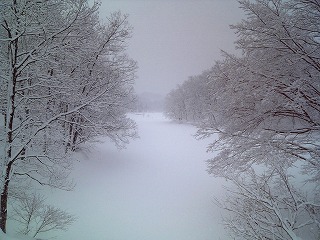 f0032130_15565679.jpg